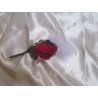 Bouquet mariée roses et plumes bordeaux