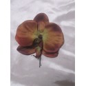 Épingle de cheveux pour mariage avec orchidée couleur chocolat