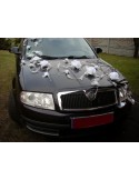 Décoration de voiture pour mariage avec plumes et roses