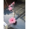 Bouquet de voiture moderne marguerites rose