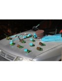 Décoration pour voiture des mariées chapeau voile turquoise, chocolat