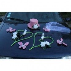 Décoration voiture mariage chapeau, voile, cœurs, colombes parme et blanc