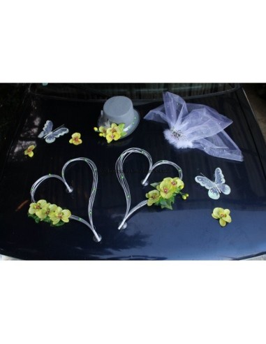 Décoration voiture mariage orchidées et cœurs gris et vert anis