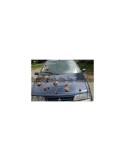 Lot Compositions florale de mariage pour voiture thème orange