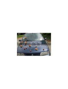 Lot Compositions florale de mariage pour voiture thème orange