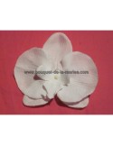 Boutonnière avec Orchidée Noire ou Blanche