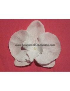 Boutonnière avec Orchidée Noire ou Blanche