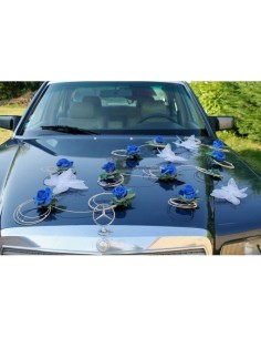 Décoration de voiture de mariage bleu royal thème papillon