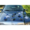 Décoration de voiture de mariage bleu roi thème papillon 