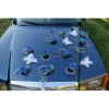 Décoration de voiture de mariage bleu roi thème papillon 