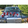 Belle decoration de voiture pour mariage avec des papillons et roses