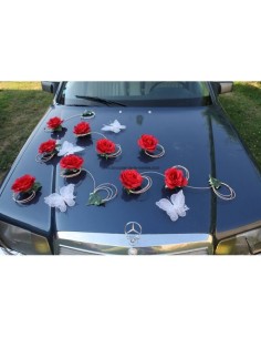 Belle decoration de voiture pour mariage avec des papillons et roses 2