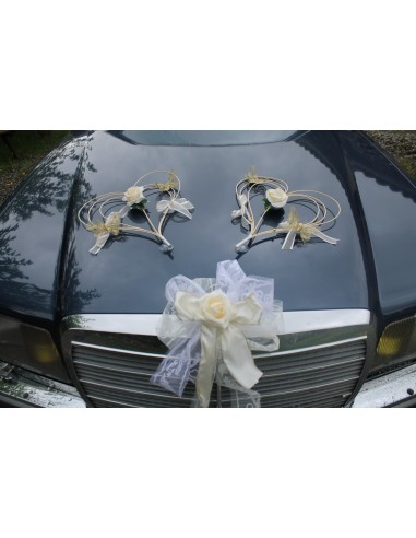Décoration voiture mariage Cœurs Perles Nœud Roses Papillon