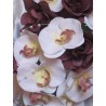 Bouquet mariée orchidée chocolat