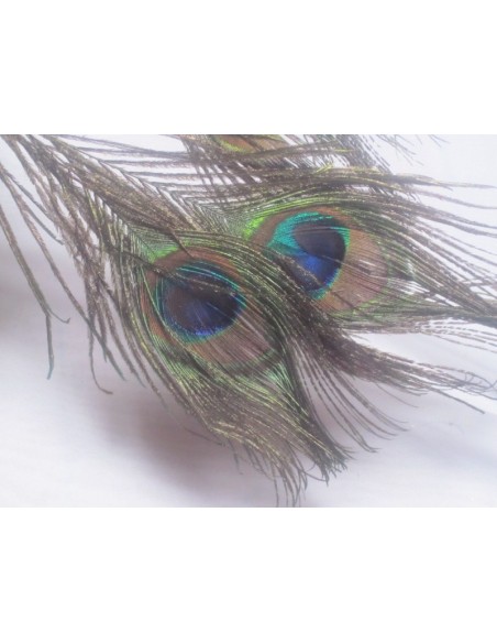 Bouquet Mariage Cascade thème Paon Chocolat, Vert et Turquoise