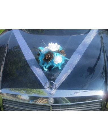 Décoration voiture mariage thème chocolat, turquoise avec plumes